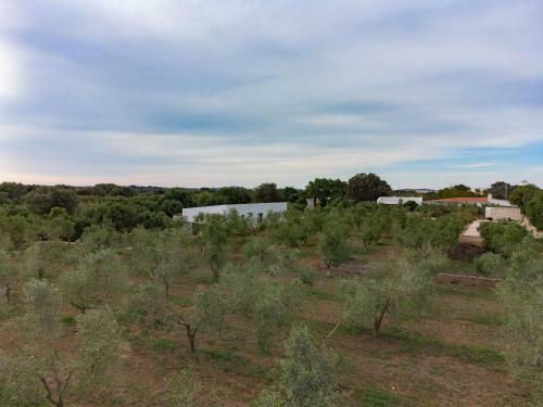 Agroturismo Malbuger Nou Menorca -adults Only-