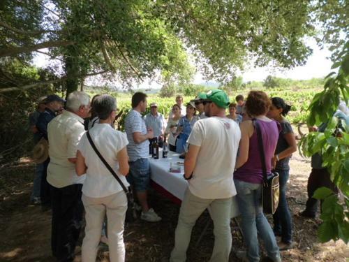 Agroturismo Ca La Viola