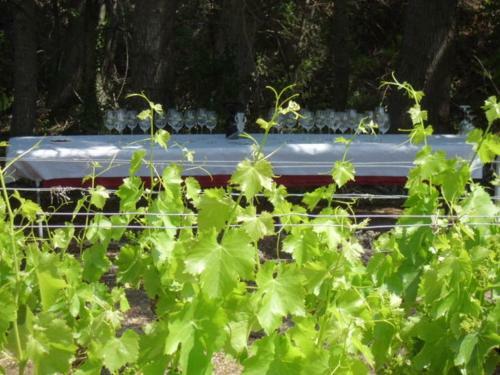 Agroturismo Ca La Viola