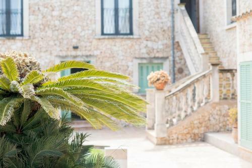 Curolla Petit Hotel