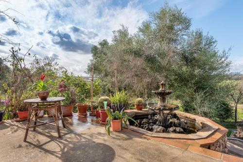 Finca Es Tur� Des Bessons