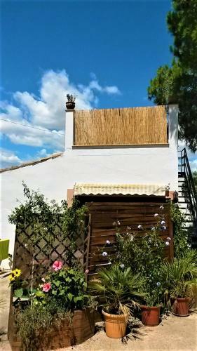 La Casita