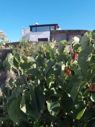 Mirador De Los Volcanes