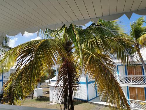Apartamento Maracuja