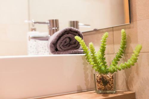 Apartamento Matarolux16
