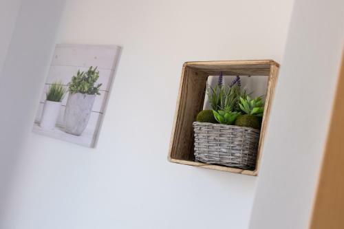 Apartamento Matarolux17