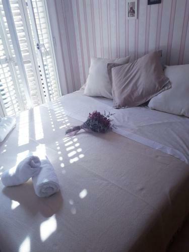 Matar� Apartamento