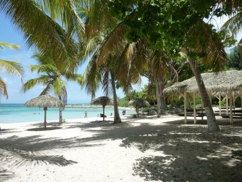 Apartamento Studio Passion Des Iles Anse Des Rochers Villa Hibiscus