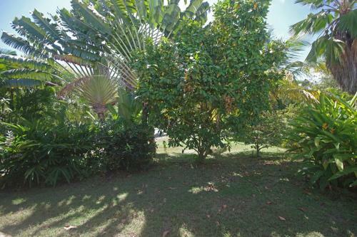 Gite Le Colibri Bungalow Azur
