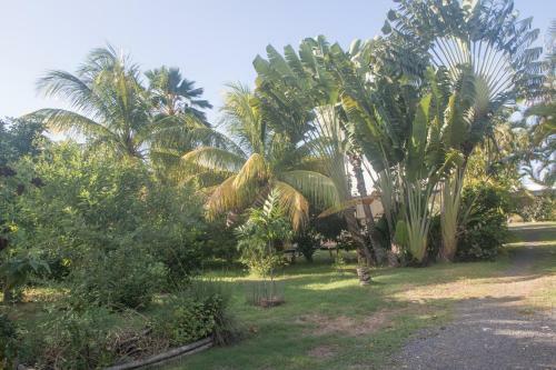 Gite Le Colibri Bungalow Azur