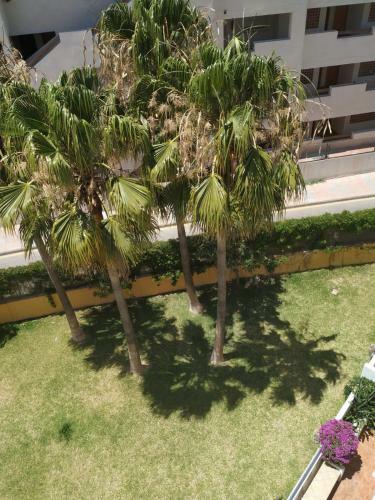 Apartamento Manilva Kateryna