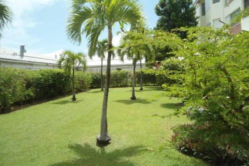 Apartamento Coeur Caraibes