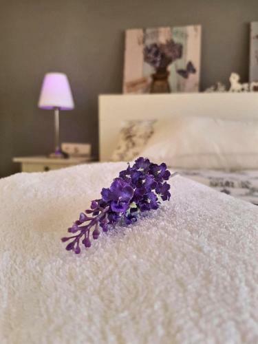 Apartamento Coto Real Duquesa Penthause de Lux