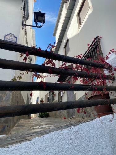Villa Cortijo En La Alpujarra