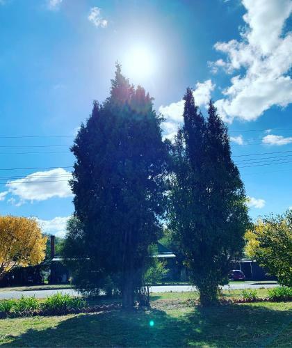 Yellow Door House Adelong