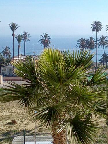 Apartamento Sierra Y Mar