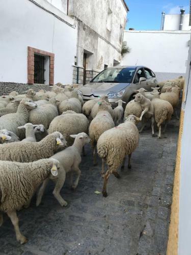 Calle de Iparraguirre, 1, Casa de La Luz