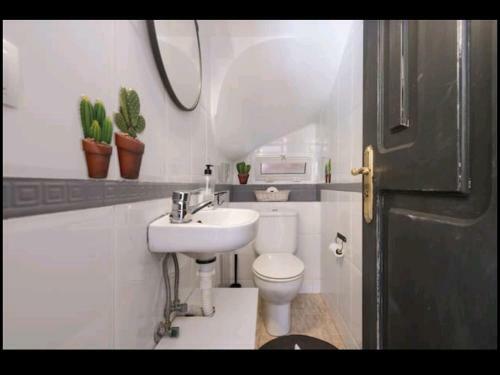 Apartamento Green Sea Top Bungalow Jardin