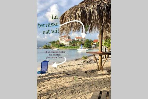 Apartamento Tropicool