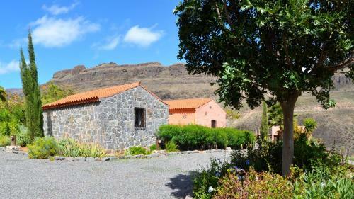 Finca Las Olivas