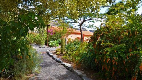 Finca Las Olivas