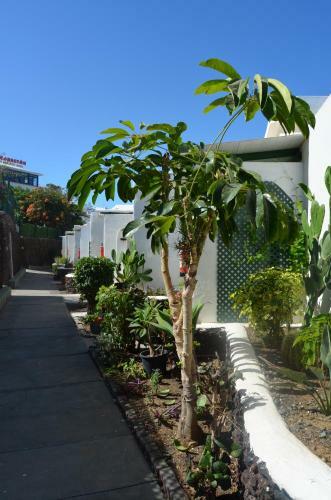 Apartamento Bungalow Maspalomas, Sonneland
