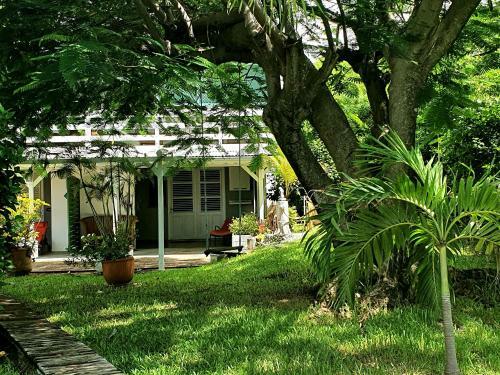 Apartamento Le Petit Macabou Lodges : Les Pieds Dans L'eau