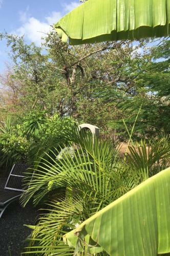 G�te Maison Flandrin Guadeloupe