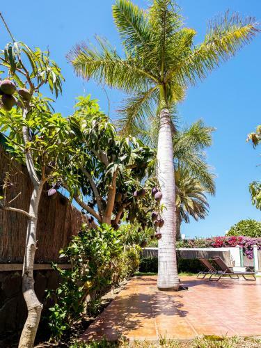 Golf Paradise With Private Garden And Barbecue In Maspalomas