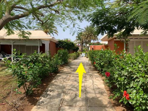 Apartamento Flamboyant Tree Garden Bungalow