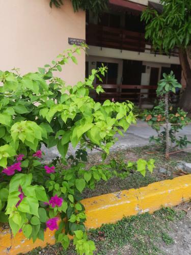 Apartamento The Mango Lodge