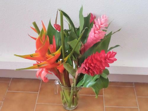 Apartamento Cara�bes Holidays