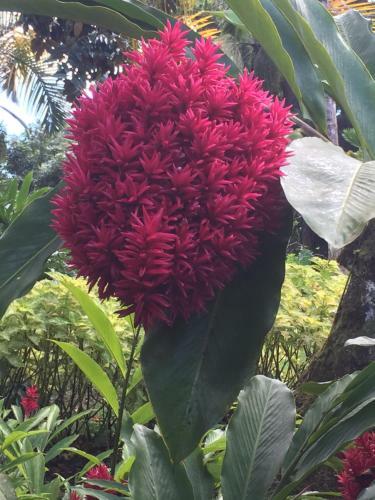 La Villa Flau Studio Azur