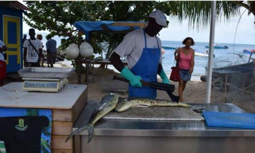 Apartamento La Perle Piscine Et Plage Sainte-luce Martinique