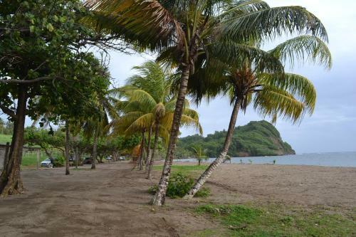 Haut De Villa Dans Son �crin De Verdure
