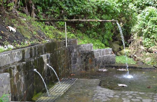 Haut De Villa Dans Son �crin De Verdure