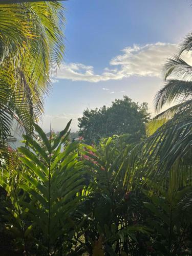 Bed & Breakfast Chambre D'h�te La Villa Gialla