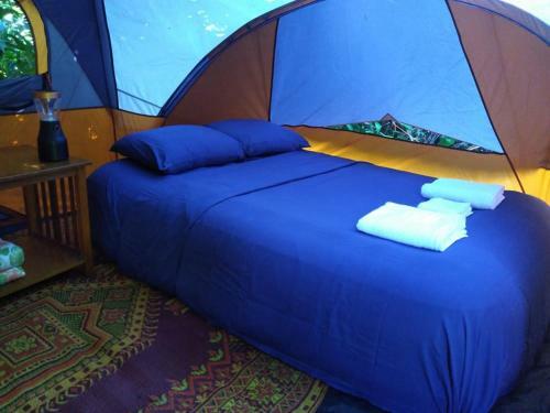 Bed & Breakfast La Casa de Vida Natural