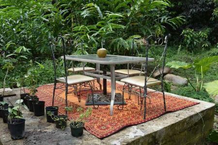 Bed & Breakfast La Casa de Vida Natural