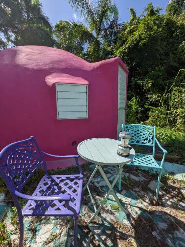 Bed & Breakfast La Casa de Vida Natural