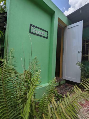 Bed & Breakfast La Casa de Vida Natural