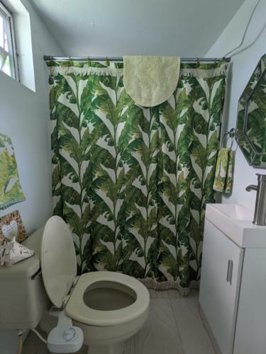 Bed & Breakfast La Casa de Vida Natural