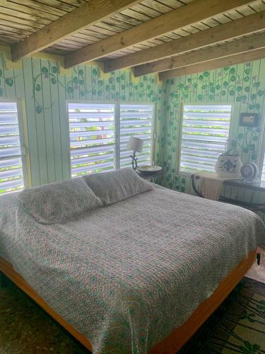 Bed & Breakfast La Casa de Vida Natural