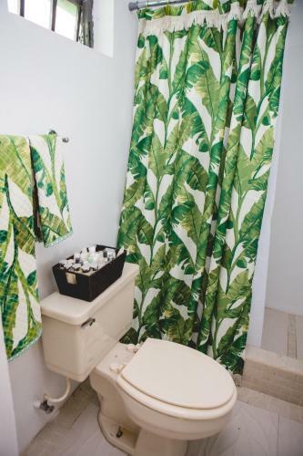 Bed & Breakfast La Casa de Vida Natural
