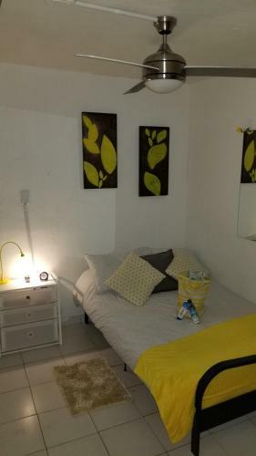 Apartamento Yellow-gray Tropical Studio