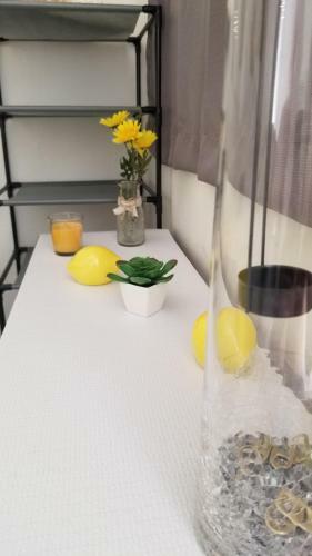 Apartamento Yellow-gray Tropical Studio