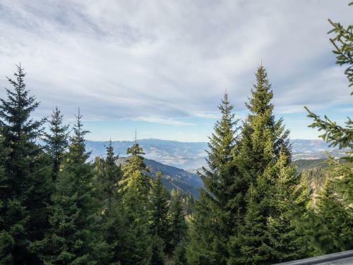 Chalet Alpenrose