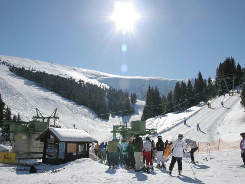 Chalet Alpenrose