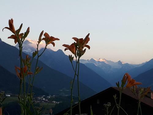 Apartamento Ferienwohnungen Tiroler Alpenhof