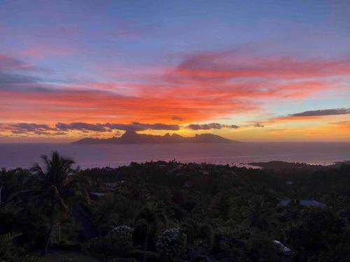 Apartamento Suite Tropical Garden Avec Vue Imprenable!!!